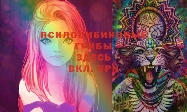 MDMA Приозерск