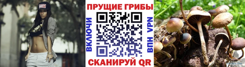 Галлюциногенные грибы GOLDEN TEACHER  Лениногорск 